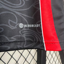 Camisa Seleção Japão Edição Especial 2024